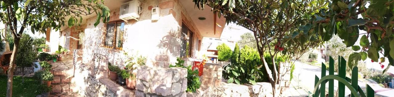 Altin Skrapari Guesthouse クサミル エクステリア 写真