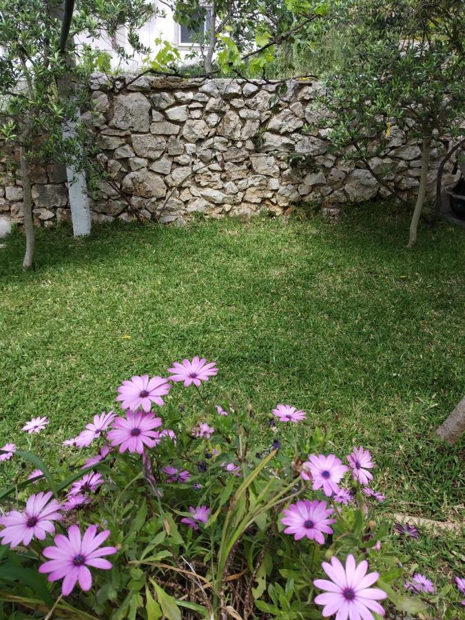 Altin Skrapari Guesthouse クサミル エクステリア 写真