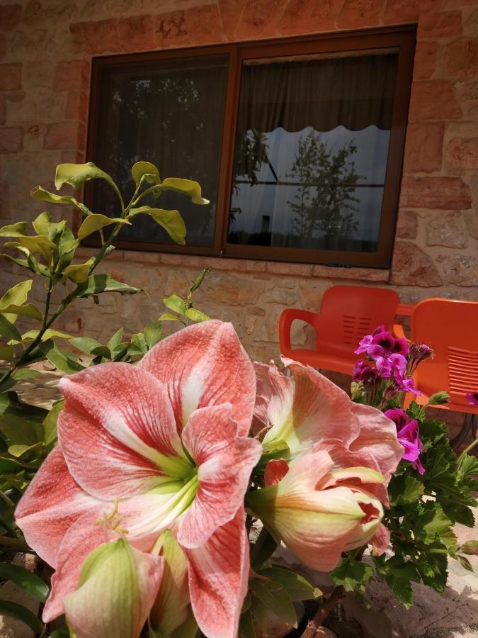 Altin Skrapari Guesthouse クサミル エクステリア 写真