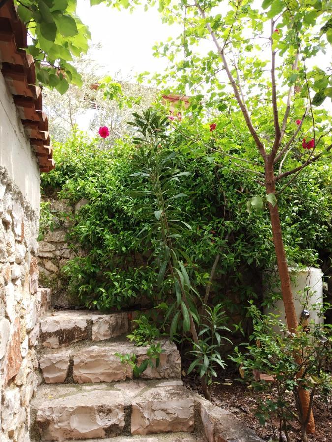 Altin Skrapari Guesthouse クサミル エクステリア 写真