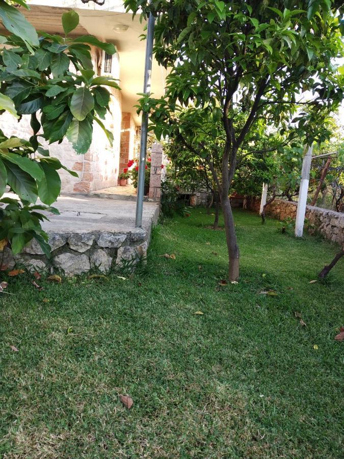 Altin Skrapari Guesthouse クサミル エクステリア 写真