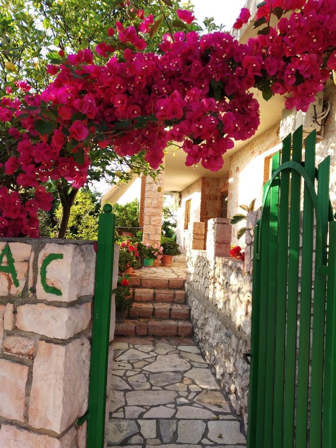Altin Skrapari Guesthouse クサミル エクステリア 写真