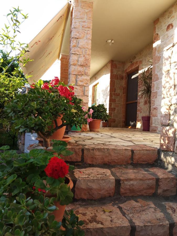 Altin Skrapari Guesthouse クサミル エクステリア 写真