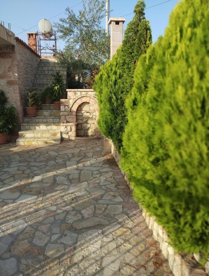 Altin Skrapari Guesthouse クサミル エクステリア 写真